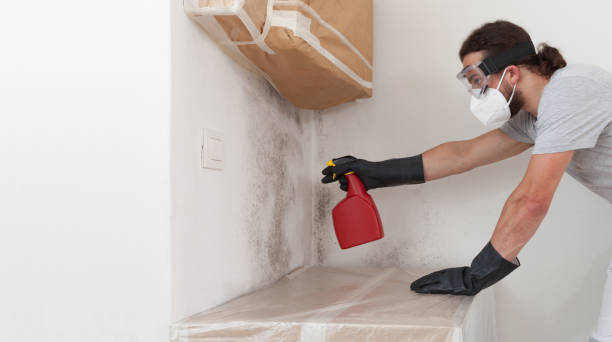 Professional Commercial Mold Remediation technician working in Stow, MA