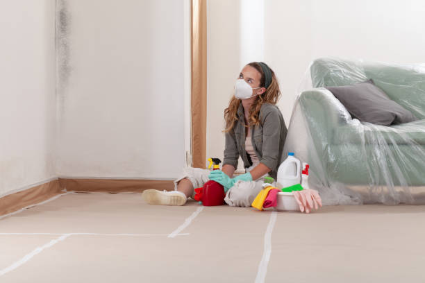 Reliable Commercial Mold Remediation contractor in Stow, MA by WQB Mold Removal